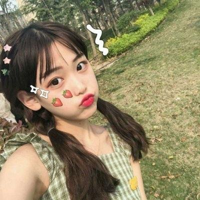 极地先锋