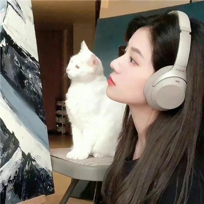 山茶花飘零